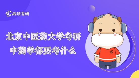 高顿考研