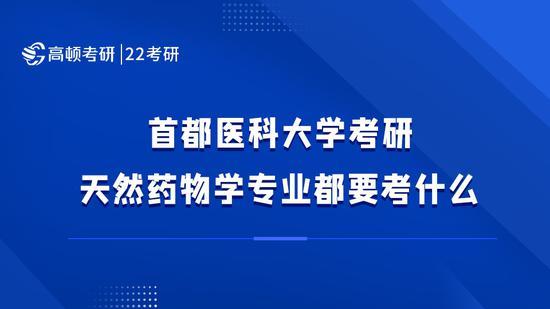 高顿考研