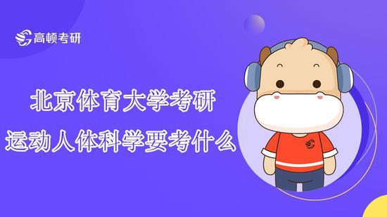 高顿考研