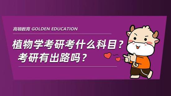 高顿考研
