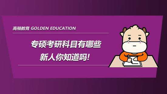 高顿考研