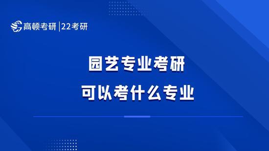 高顿考研