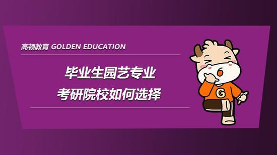 高顿考研