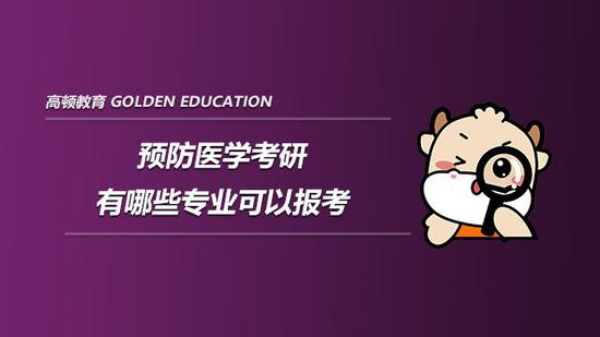 高顿考研