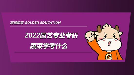 高顿考研
