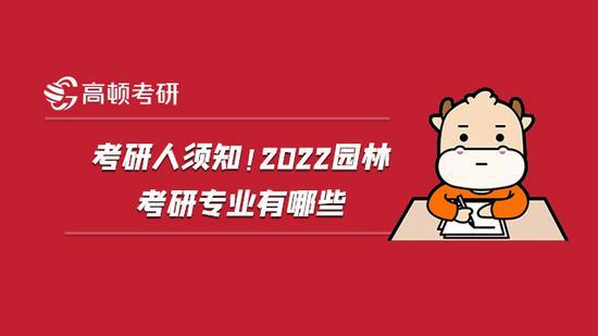 高顿考研
