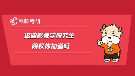 高顿考研