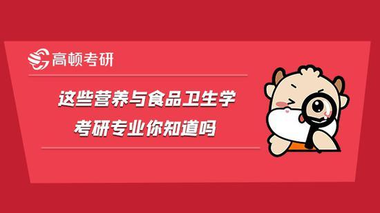 高顿考研