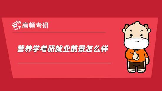 高顿考研