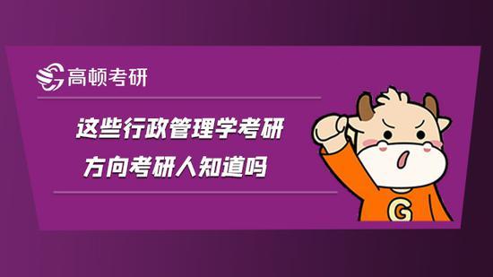 高顿考研