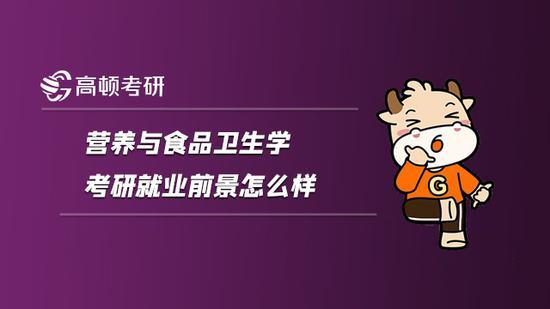 高顿考研