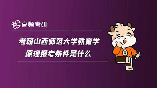 高顿考研