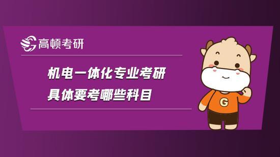 高顿考研
