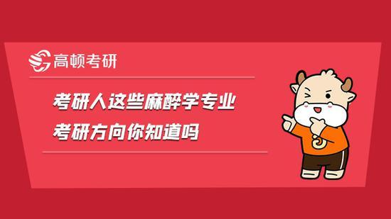 高顿考研