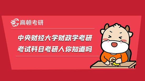 高顿考研