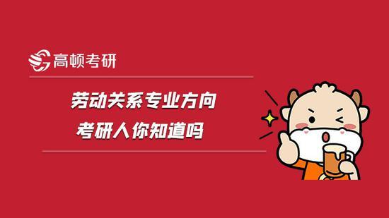 高顿考研