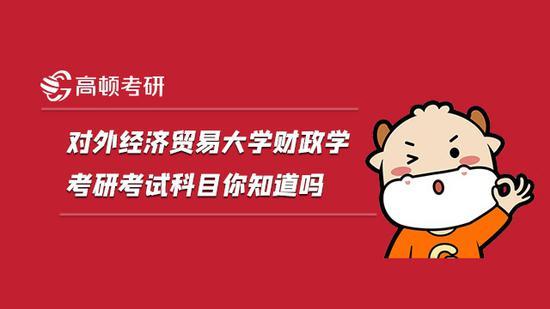 高顿考研
