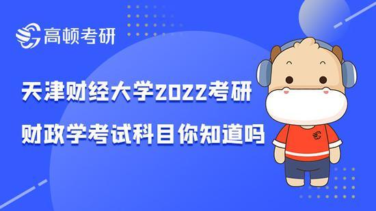 高顿考研