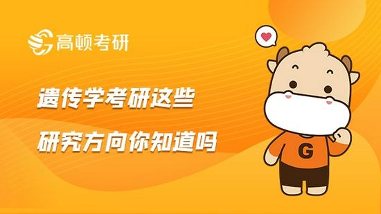 高顿考研