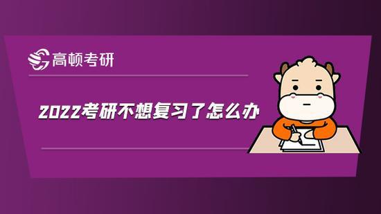 高顿考研