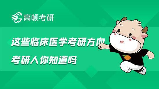高顿考研