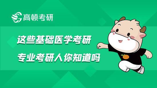 高顿考研