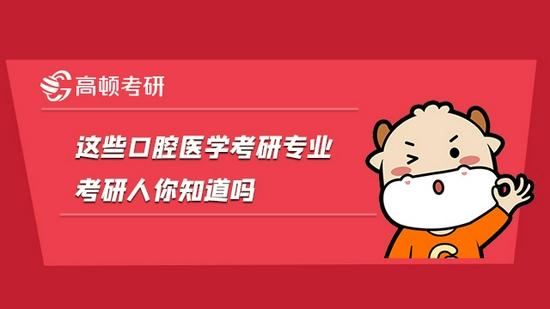 高顿考研