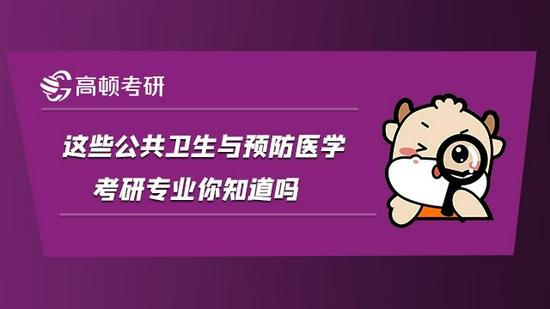 高顿考研