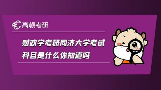 高顿考研