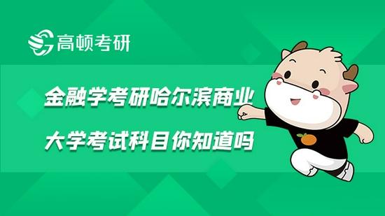 高顿考研