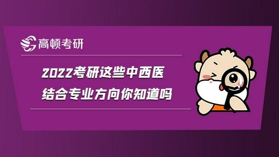 高顿考研