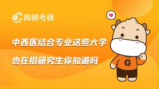 高顿考研