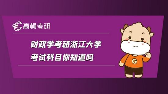 高顿考研