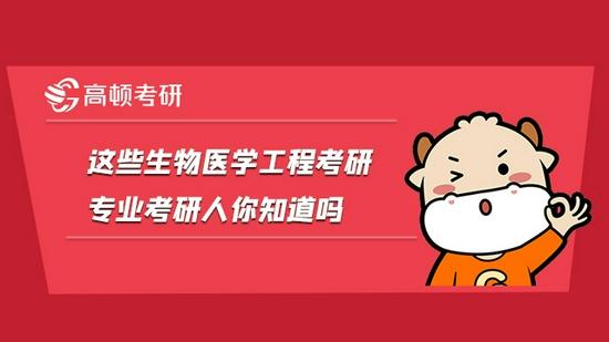 高顿考研