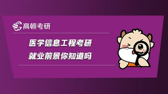 高顿考研
