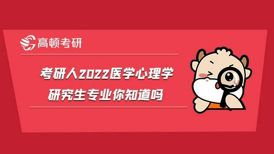 高顿考研