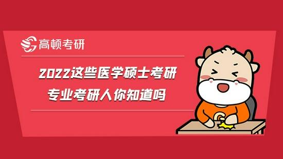 高顿考研
