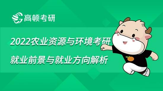 高顿考研