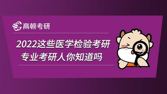 高顿考研