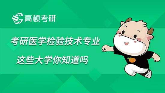 高顿考研