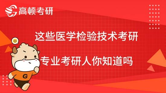 高顿考研