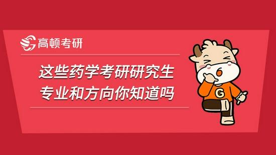 高顿考研
