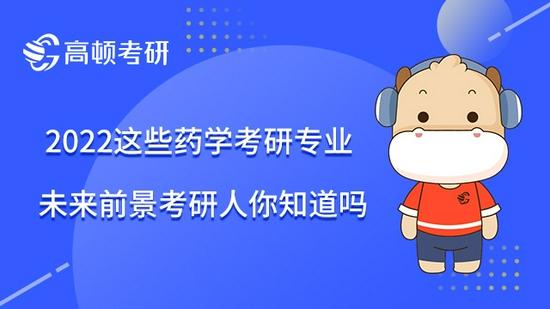 高顿考研