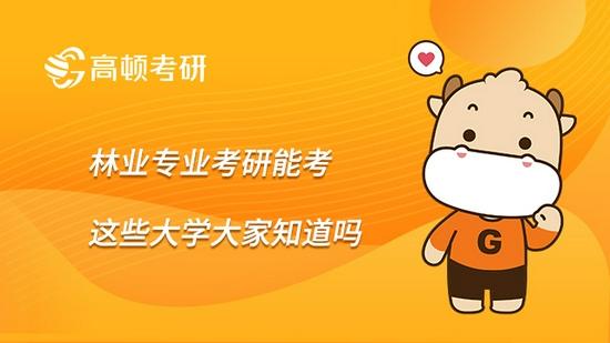 高顿考研