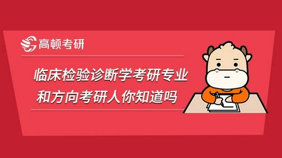 高顿考研