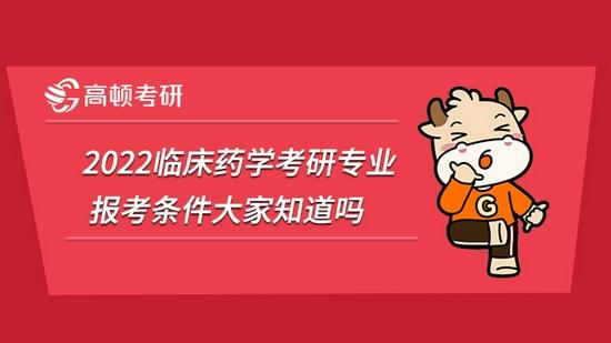 高顿考研