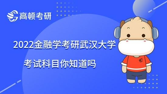 高顿考研