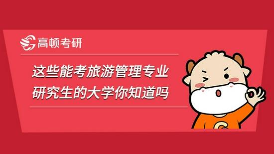 高顿考研