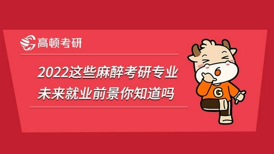 高顿考研