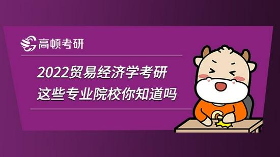 高顿考研